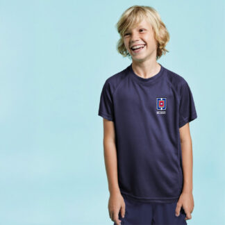 camiseta entreno liceo
